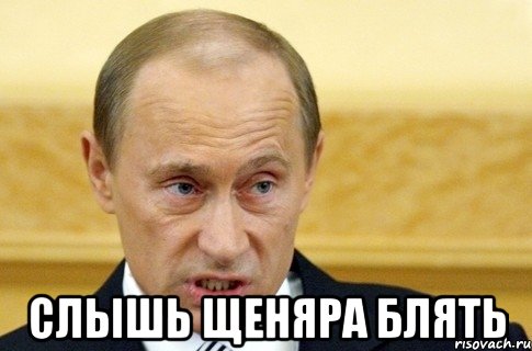  слышь щеняра блять, Мем путин