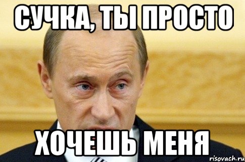 сучка, ты просто хочешь меня, Мем путин