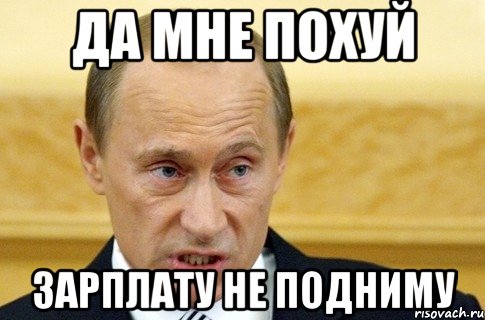 да мне похуй зарплату не подниму, Мем путин