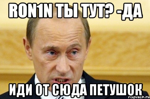 ron1n ты тут? -да иди от сюда петушок, Мем путин