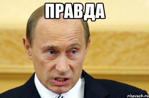 правда , Мем путин