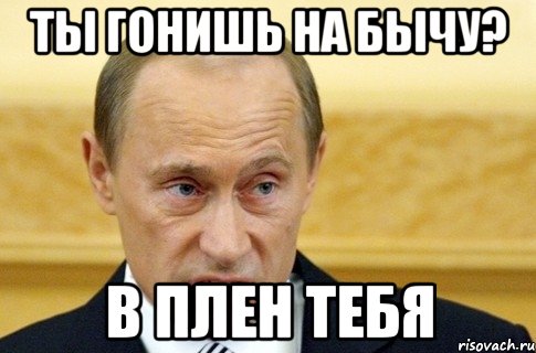 ты гонишь на бычу? в плен тебя, Мем путин