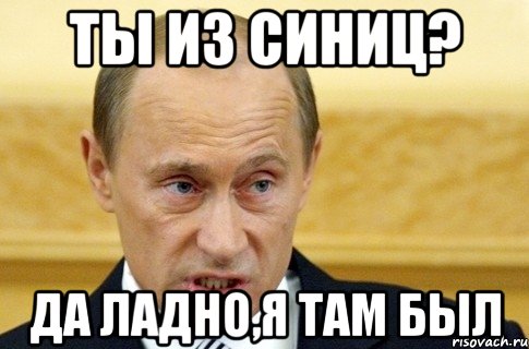 ты из синиц? да ладно,я там был, Мем путин