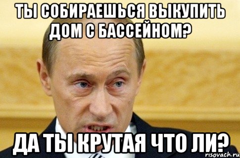 ты собираешься выкупить дом с бассейном? да ты крутая что ли?, Мем путин