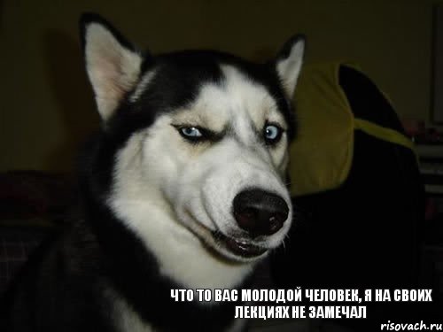 что то вас молодой человек, я на своих лекциях не замечал, Комикс  Собака подозревака