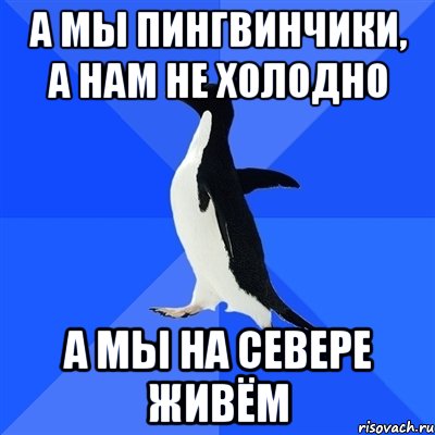 а мы пингвинчики, а нам не холодно а мы на севере живём, Мем  Социально-неуклюжий пингвин