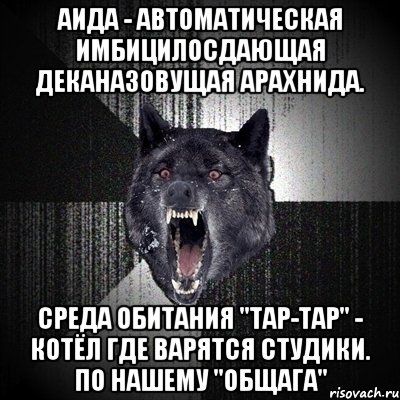 аида - автоматическая имбицилосдающая деканазовущая арахнида. среда обитания "тар-тар" - котёл где варятся студики. по нашему "общага", Мем Сумасшедший волк