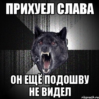 прихуел слава он ещё подошву не видел, Мем Сумасшедший волк