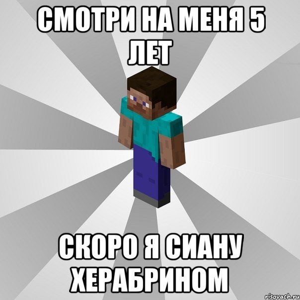 смотри на меня 5 лет скоро я сиану херабрином, Мем Типичный игрок Minecraft