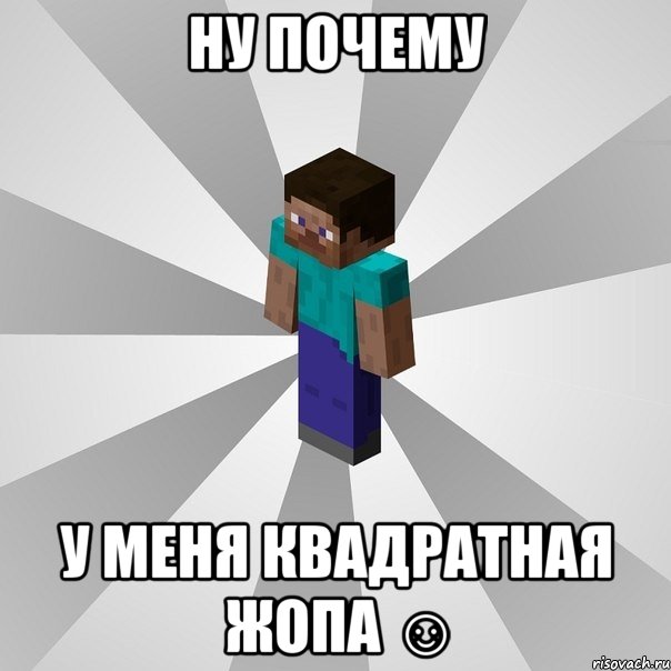 ну почему у меня квадратная жопа ☺, Мем Типичный игрок Minecraft