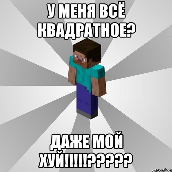 у меня всё квадратное? даже мой хуй!!!???, Мем Типичный игрок Minecraft