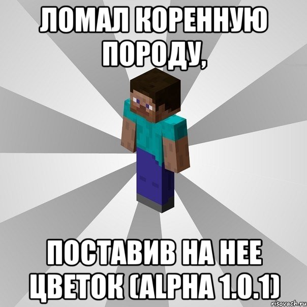 ломал коренную породу, поставив на нее цветок (alpha 1.0.1), Мем Типичный игрок Minecraft