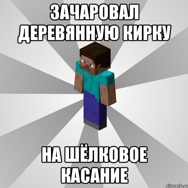 зачаровал деревянную кирку на шёлковое касание, Мем Типичный игрок Minecraft