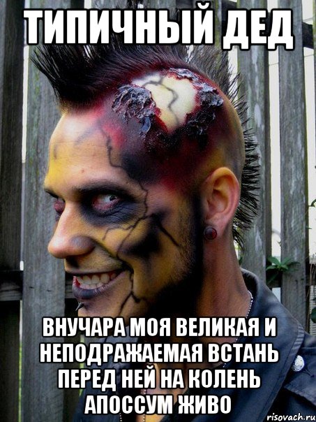 типичный дед внучара моя великая и неподражаемая встань перед ней на колень апоссум живо, Мем ТИПИЧНЫЙ ДЕД