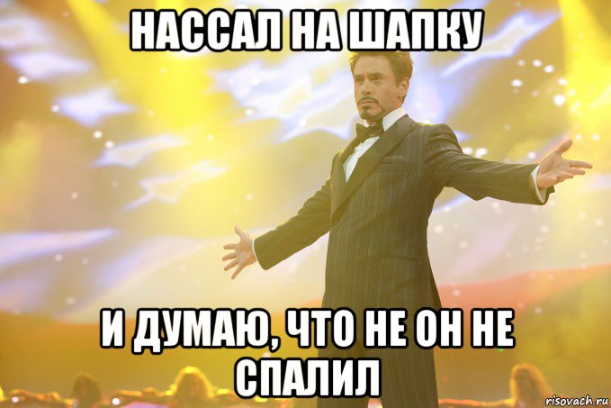 нассал на шапку и думаю, что не он не спалил, Мем Тони Старк (Роберт Дауни младший)