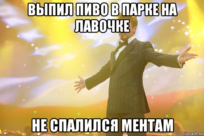 выпил пиво в парке на лавочке не спалился ментам, Мем Тони Старк (Роберт Дауни младший)