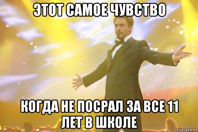 этот самое чувство когда не посрал за все 11 лет в школе, Мем Тони Старк (Роберт Дауни младший)