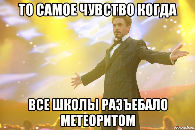 то самое чувство когда все школы разъебало метеоритом, Мем Тони Старк (Роберт Дауни младший)