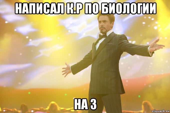 написал к.р по биологии на 3, Мем Тони Старк (Роберт Дауни младший)