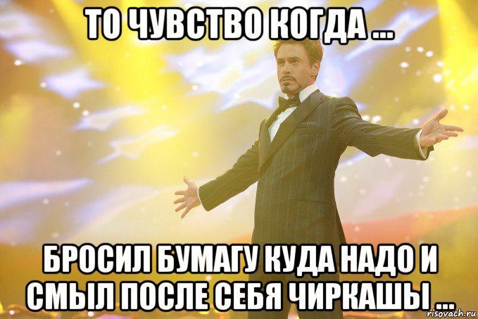 то чувство когда ... бросил бумагу куда надо и смыл после себя чиркашы ..., Мем Тони Старк (Роберт Дауни младший)