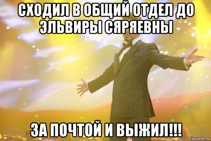 сходил в общий отдел до эльвиры сяряевны за почтой и выжил!!!, Мем Тони Старк (Роберт Дауни младший)