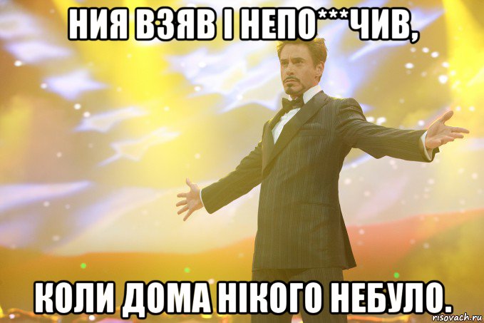 ния взяв і непо***чив, коли дома нікого небуло., Мем Тони Старк (Роберт Дауни младший)