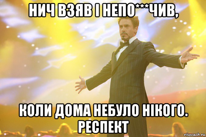 нич взяв і непо***чив, коли дома небуло нікого. респект, Мем Тони Старк (Роберт Дауни младший)