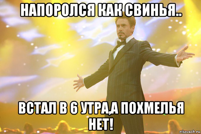 напоролся как свинья.. встал в 6 утра,а похмелья нет!, Мем Тони Старк (Роберт Дауни младший)