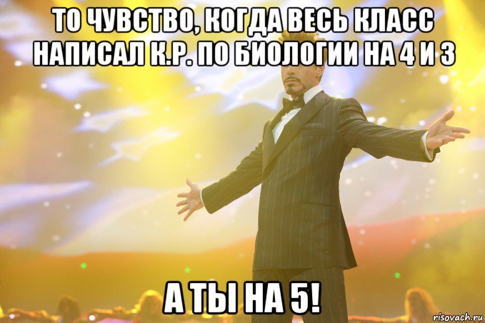 то чувство, когда весь класс написал к.р. по биологии на 4 и 3 а ты на 5!, Мем Тони Старк (Роберт Дауни младший)