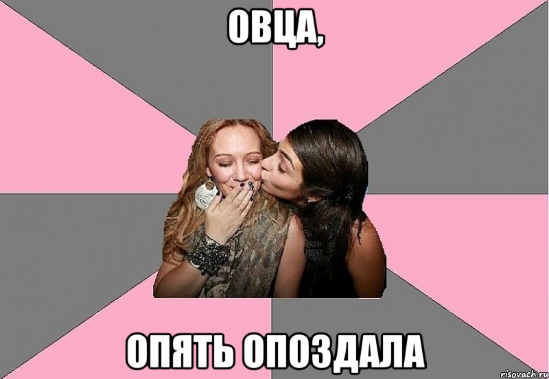 овца, опять опоздала