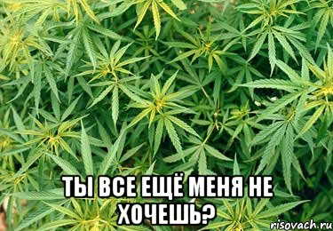  ты все ещё меня не хочешь?