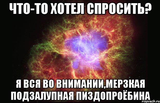 что-то хотел спросить? я вся во внимании,мерзкая подзалупная пиздопроёбина, Мем Туманность