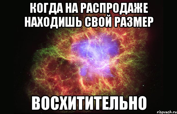 когда на распродаже находишь свой размер восхитительно