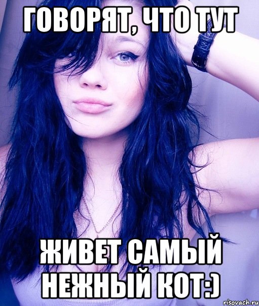 говорят, что тут живет самый нежный кот:), Мем тупая пизда