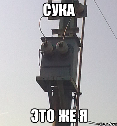 cука это же я, Мем ТЫ УПОРОТ ЧТО-ЛИ СУКА