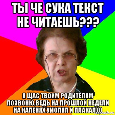 ты че сука текст не читаешь??? я щас твоим родителям позвоню,ведь на прошлой недели на каленях умолял и плакал))), Мем Типичная училка