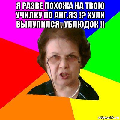 я разве похожа на твою училку по анг.яз !? хули вылупился , ублюдок !! , Мем Типичная училка