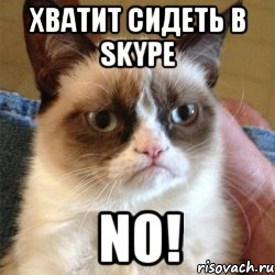 хватит сидеть в skype no!