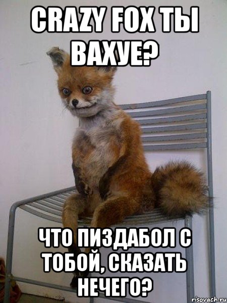 crazy fox ты вахуе? что пиздабол с тобой, сказать нечего?, Мем Упоротая лиса