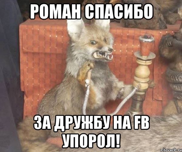 роман спасибо за дружбу на fb упорол!