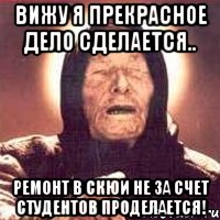 вижу я прекрасное дело сделается.. ремонт в скюи не за счет студентов проделается!, Мем Ванга (цвет)