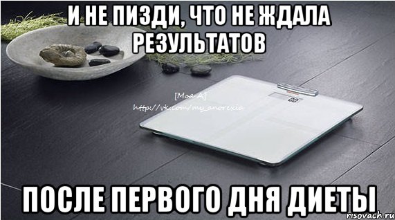 и не пизди, что не ждала результатов после первого дня диеты, Мем весы