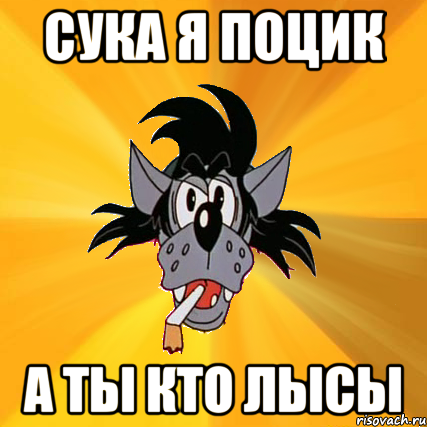 сука я поцик а ты кто лысы, Мем Волк