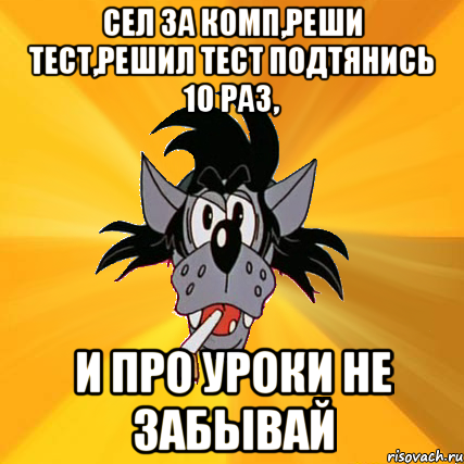 сел за комп,реши тест,решил тест подтянись 10 раз, и про уроки не забывай, Мем Волк