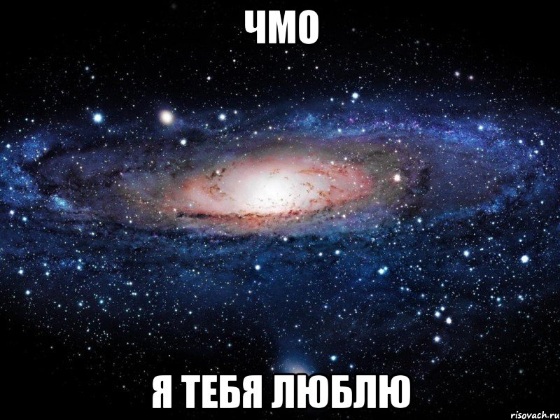 чмо я тебя люблю, Мем Вселенная