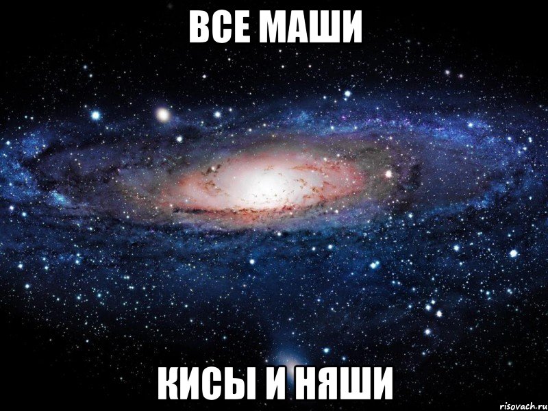 все маши кисы и няши, Мем Вселенная