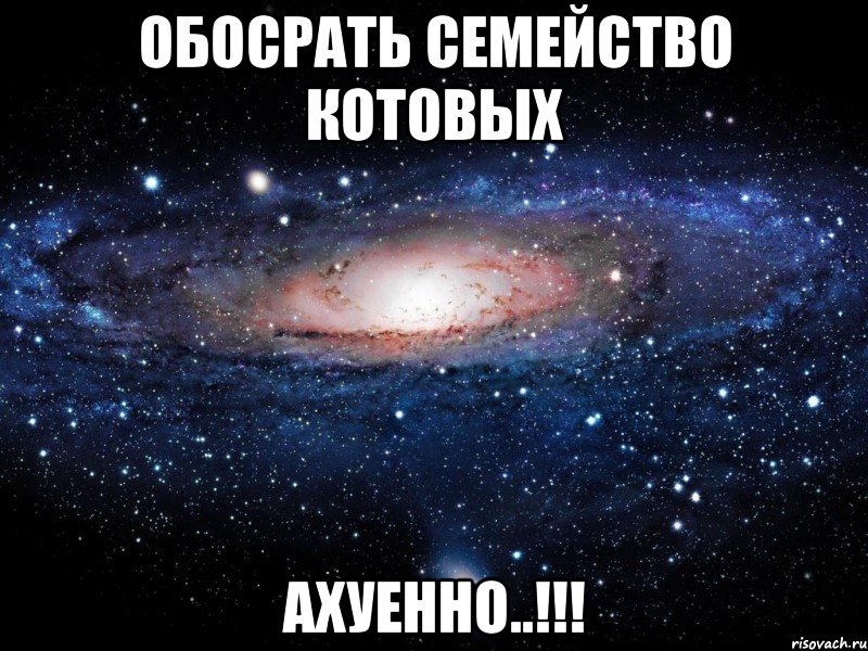 обосрать семейство котовых ахуенно..!!!, Мем Вселенная