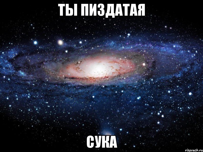 ты пиздатая сука, Мем Вселенная