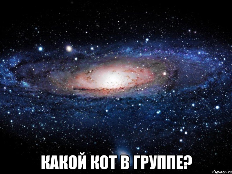  какой кот в группе?, Мем Вселенная