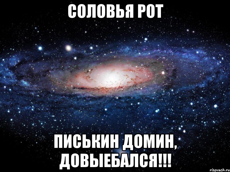 соловья рот писькин домин, довыебался!!!, Мем Вселенная